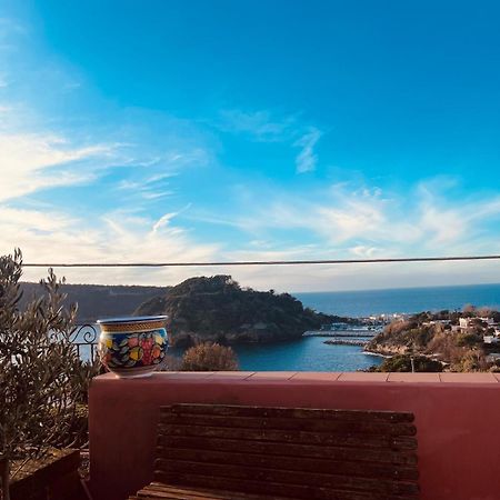 Sole Chiaro Home Procida Exterior photo
