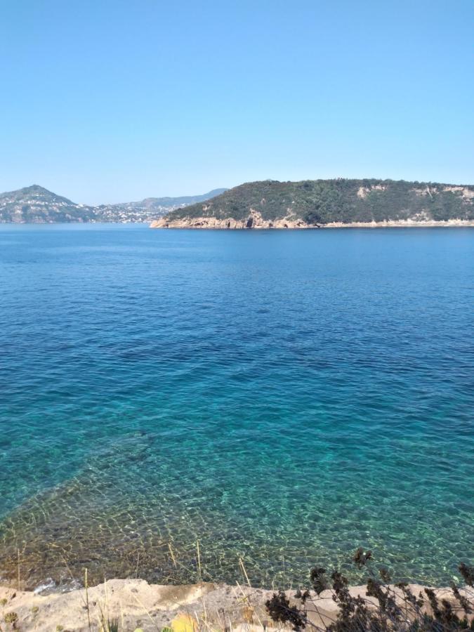 Sole Chiaro Home Procida Exterior photo